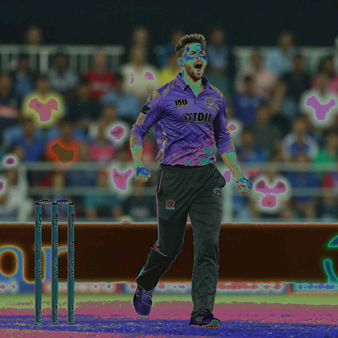 Reading the Empty Ledger: Data Integrity in Cricket Analytics and the Blockchain Promise